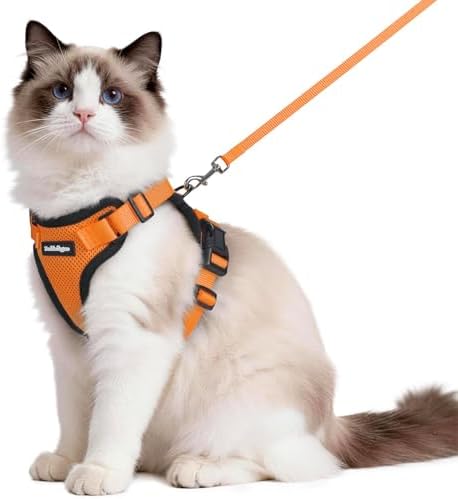 rabbitgoo Cat Harness and Leash Set, Escape Proof Vest by rabbitgoo