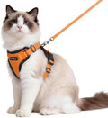 rabbitgoo Cat Harness and Leash Set, Escape Proof Vest by rabbitgoo