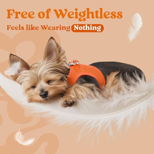 rabbitgoo Step-in Small Dog Harness, Puppy Vest - Image 4