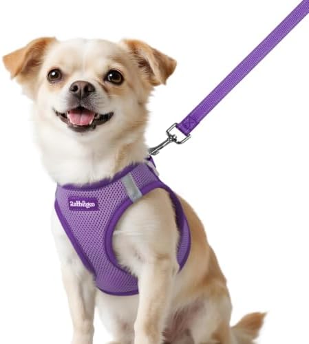 rabbitgoo Dog Harness Small Sized and Leash Set, Step in Soft Vest by rabbitgoo