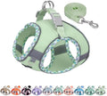 AIITLE Medium Dog Harness and Leash Set by AIITLE-FORPETSBETTERLIFE