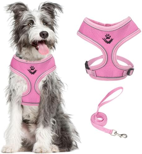 PUPTECK Small Dog Harness and Leash Set No Pull by PUPTECK