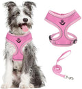 PUPTECK Small Dog Harness and Leash Set No Pull by PUPTECK