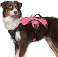 rabbitgoo Escape Proof Dog Harness by rabbitgoo