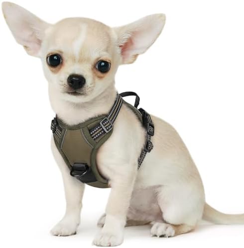 Eagloo Dog Harness for Small Dogs, No Pull Pet Vest by GoExplorewithEagloo
