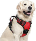 rabbitgoo Dog Harness for Large, No Pull 3 Buckles Easy On & Off by rabbitgoo