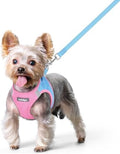 rabbitgoo Dog Harness Small Sized and Leash Set, Step-in Puppy Pet Vest by rabbitgoo