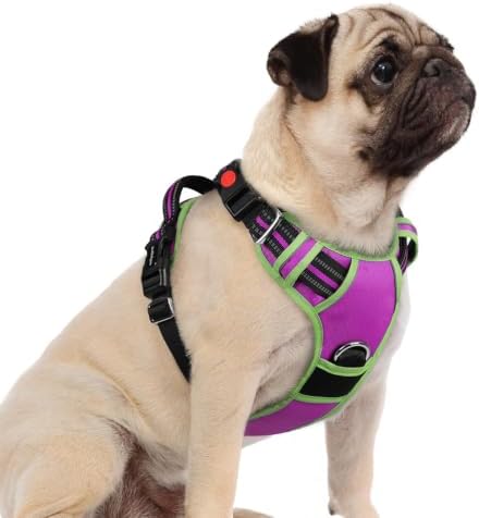 rabbitgoo Dog Harness Small Sized, No Pull 3 Buckles Easy On & Off by rabbitgoo