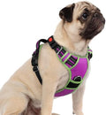rabbitgoo Dog Harness Small Sized, No Pull 3 Buckles Easy On & Off by rabbitgoo