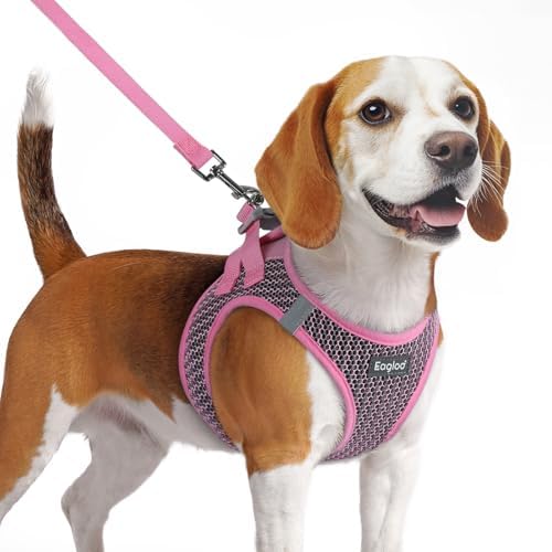 Eagloo Small Dog Harness and Leash Set, Step in Medium Small Puppy Pet Vest by GoExplorewithEagloo