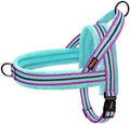 Didog No Pull Dog Harness for Medium Dogs, Soft Flannel Padded, Mixed-Blue by Didog
