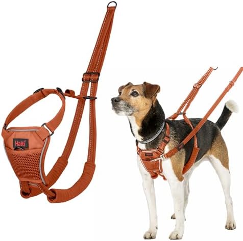 Halti No Pull Dog Harness | Size XS, Burnt Orange by Halti