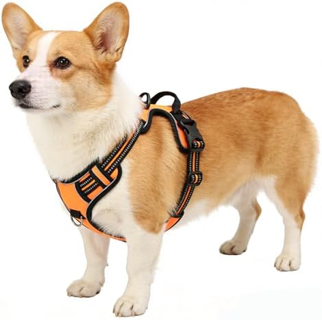 Orange No-Pull Dog Harness - Image 5