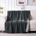 QiyI Reversible Waterproof Blanket by QIYI