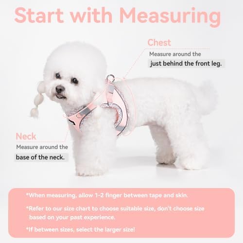 Petank Dog Harness for Small Medium Dogs No Pull, Puppy Harness and Leash Set - Image 3