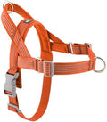 No Pull Dog Harness with Handle, Adjustable Soft Mesh Padded Vest by Fortheloveofpets