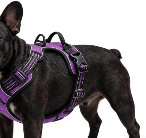 Purple No-Pull Dog Harness - Image 5