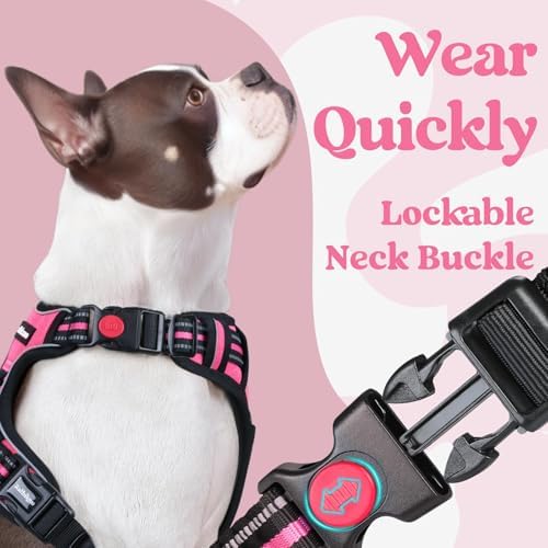 rabbitgoo Dog Harness Medium Sized, Updated Easy On & Off - Image 3
