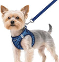 rabbitgoo Dog Harness Small Sized and Leash Set, Step in Soft Vest by rabbitgoo