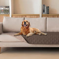 gogobunny Waterproof Dog Blanket, Couch Covers by gogobunny