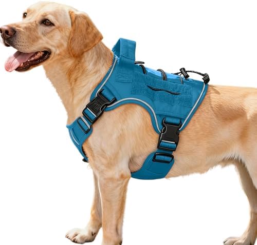 Heavy-Duty Tactical Dog Harness by Bruvoalon