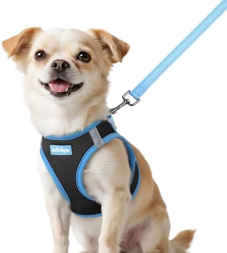 rabbitgoo Dog Harness Small Sized and Leash Set, Step in Soft Vest by rabbitgoo