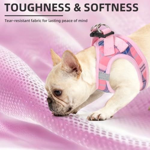 PUPTECK Dog Harness, Collar and Leash Set No Pull - Image 6