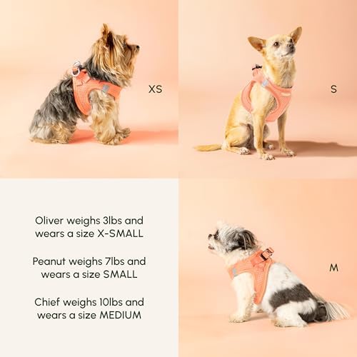 Downtown Pet Supply Pastel Tangerine X-Small Step-In Harness - Image 6