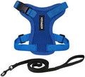 Voyager Step-in Lock Cat Harness & Leash Set by BestPetSuppliesLLC