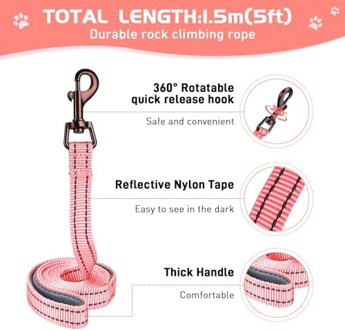Soft Mesh Dog Harness and Leash Set, No Pull Puppy Harness and Leash Set - Image 3