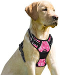 BARKBAY Dog Harness No Pull for Small Sized Dog Front Back Clips, Dog Vest by BARKBAY