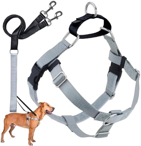 2 Hounds Design Freedom No Pull Dog Harness and Leash, 5/8" XS by 2HoundsDesign