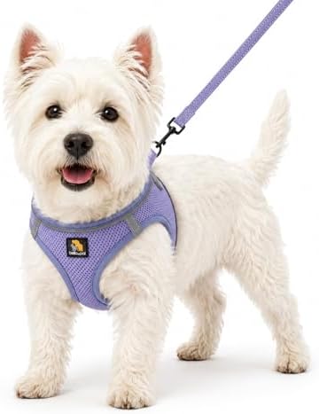 BELLA & PAL Step in Puppy Harness and Leash Set - Image 2