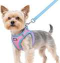 rabbitgoo Dog Harness Small Sized and Leash Set, Step in Soft Vest by rabbitgoo