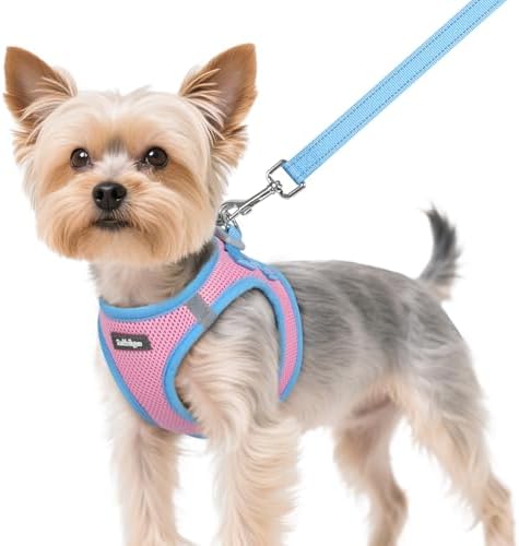 rabbitgoo Dog Harness Small Sized and Leash Set, Step in Soft Vest by rabbitgoo