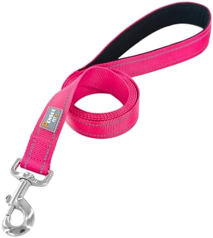 6 FT Basic Dog Leash for Medium Dogs, Hot Pink - Image 2