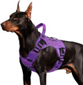 WINGOIN Purple Tactical Dog Harness by WINGOIN