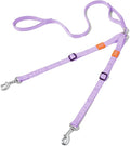 HOWGO Double Dog Leash, Tangle-Free 360 Swivel by HOWGO