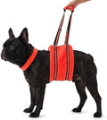 PAWsay Adjustable Dog Sling for Small Dogs Hind Leg Support by PAWsay