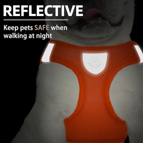 PUPTECK Dog Harness, Collar and Leash Set No Pull - Image 5