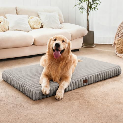 Extra Large Orthopedic Dog Crate Bed by Cozila