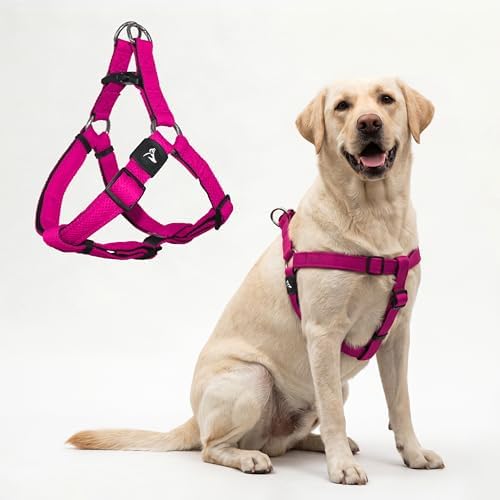 Kruz No Pull Dog Harness Heavy-Duty Pet Harness by KRUZPET
