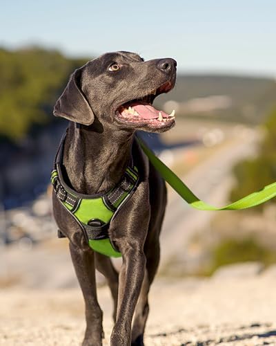 Joytale No Pull Dog Harness for Extra Large Dogs, Front Clip - Image 6