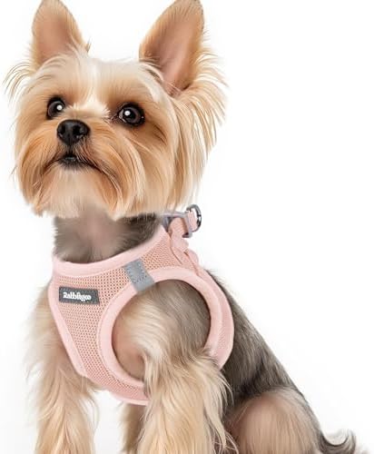 rabbitgoo Step-in Small Dog Harness, Puppy Vest by rabbitgoo