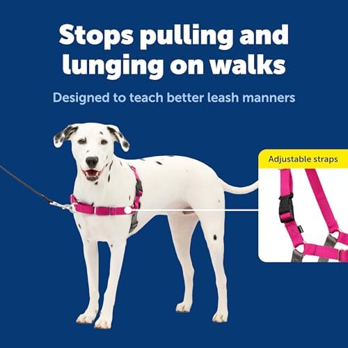 PetSafe Easy Walk Harness, No Pull Dog Harness, Medium/Large - Image 3
