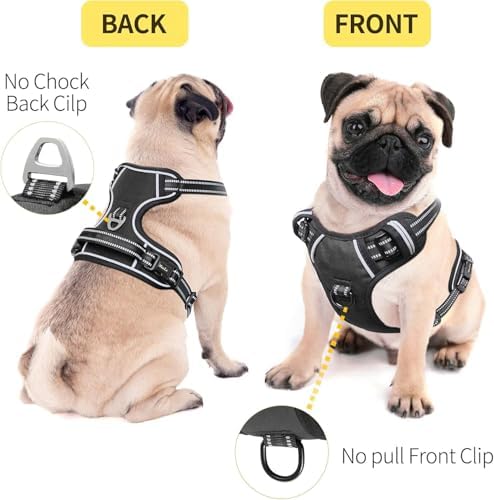 HEELE Dog Harness Dog Harness Small Dog No Pull Harness - Image 2