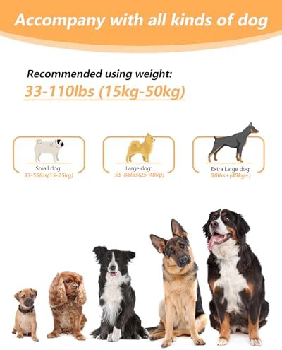 Hands Free Dog Leash - Image 6