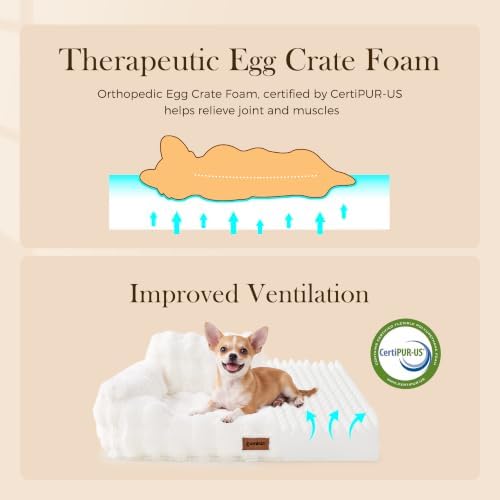 ZOMISIA Orthopedic Cat Couch Bed - Image 5