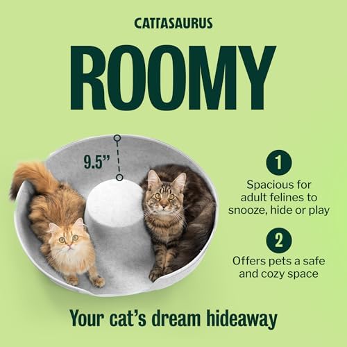 Cattasaurus Peekaboo Cat Cave Donut - Image 4