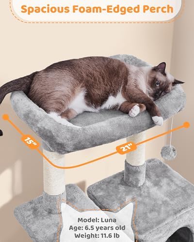 Yaheetech 63in Sturdy Large Cat Tree - Image 4